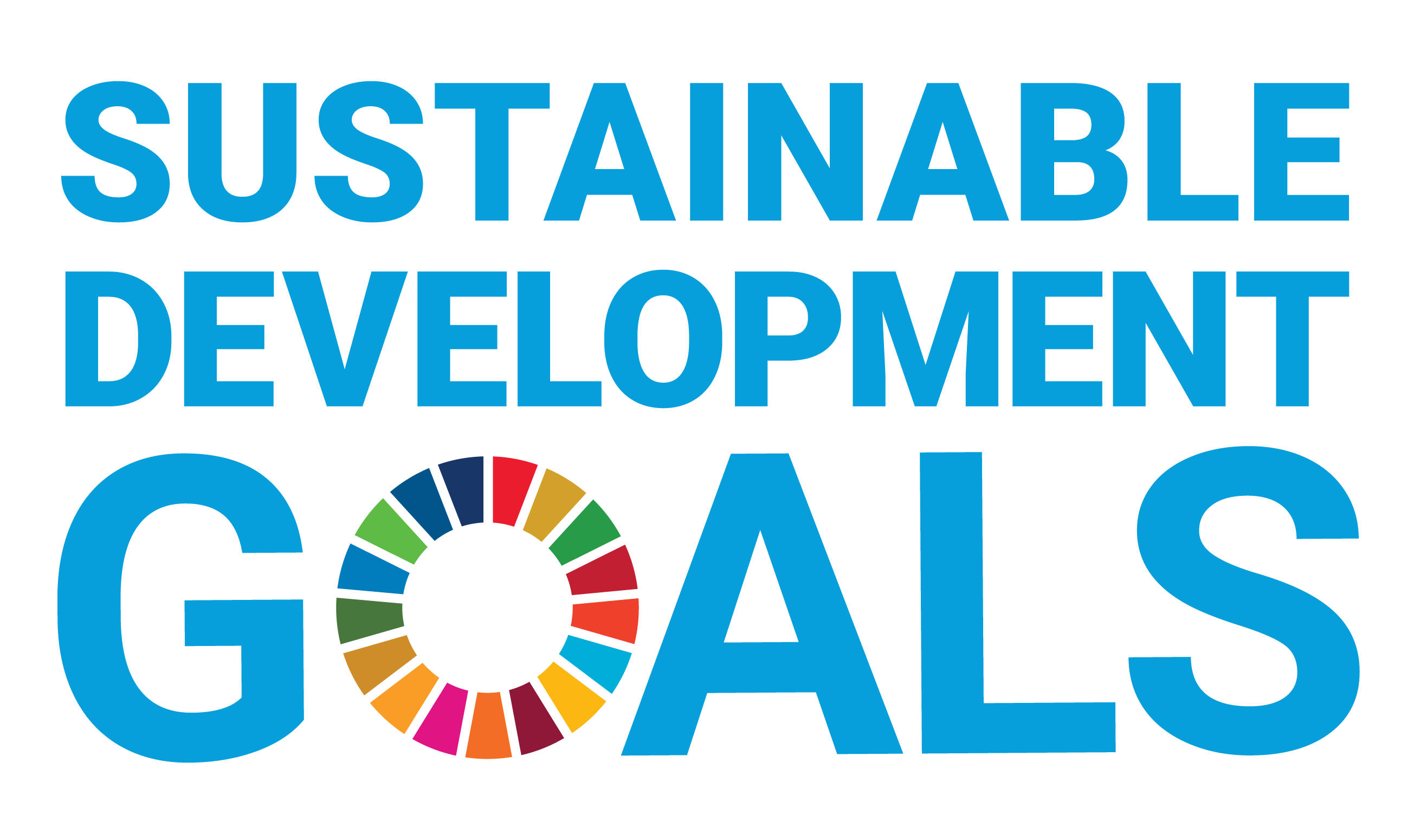 UN Sustainable Goals Logo - Square